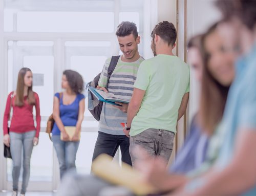 Make a Charity WordPress Website from scratch