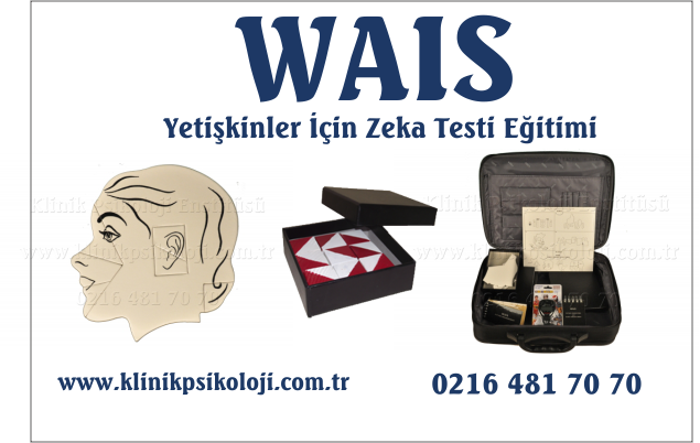 wais-2016-genel
